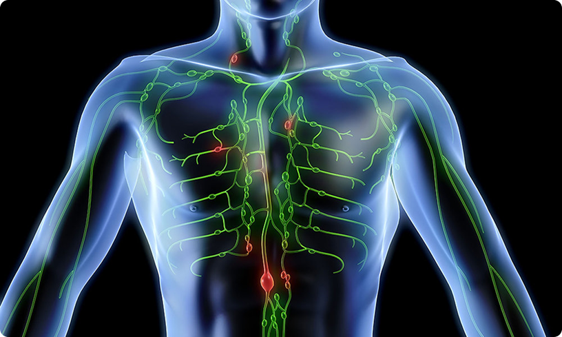Biolgical lymphatic system cleanse review