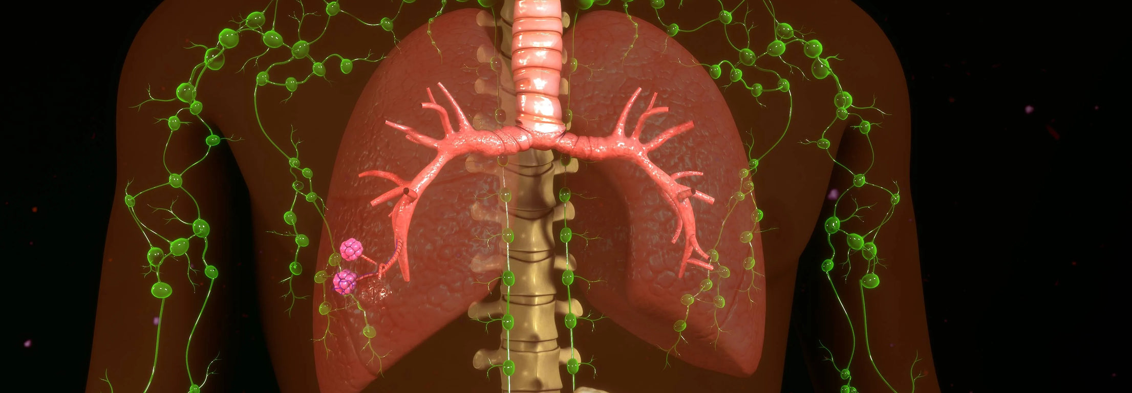 3D medical illustration of lungs with neural network and virus particles