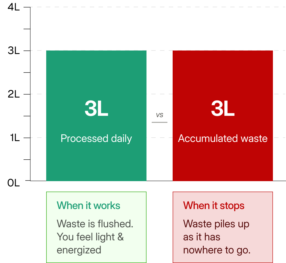 Comparison chart showing 'Processed daily' vs 'Accumulated waste' with corresponding text and color-coded sections.