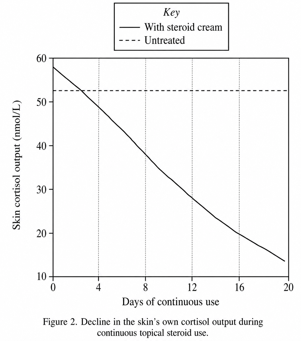 Figure 2. Decline in the skin's own cortisol output during continuous topical steroid use